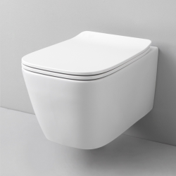 A16 53 RIMLESS Hung Toilet