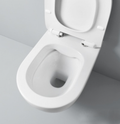 File 2.0 52 RIMLESS Hung Toilet