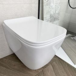 A16 53 RIMLESS Hung Toilet